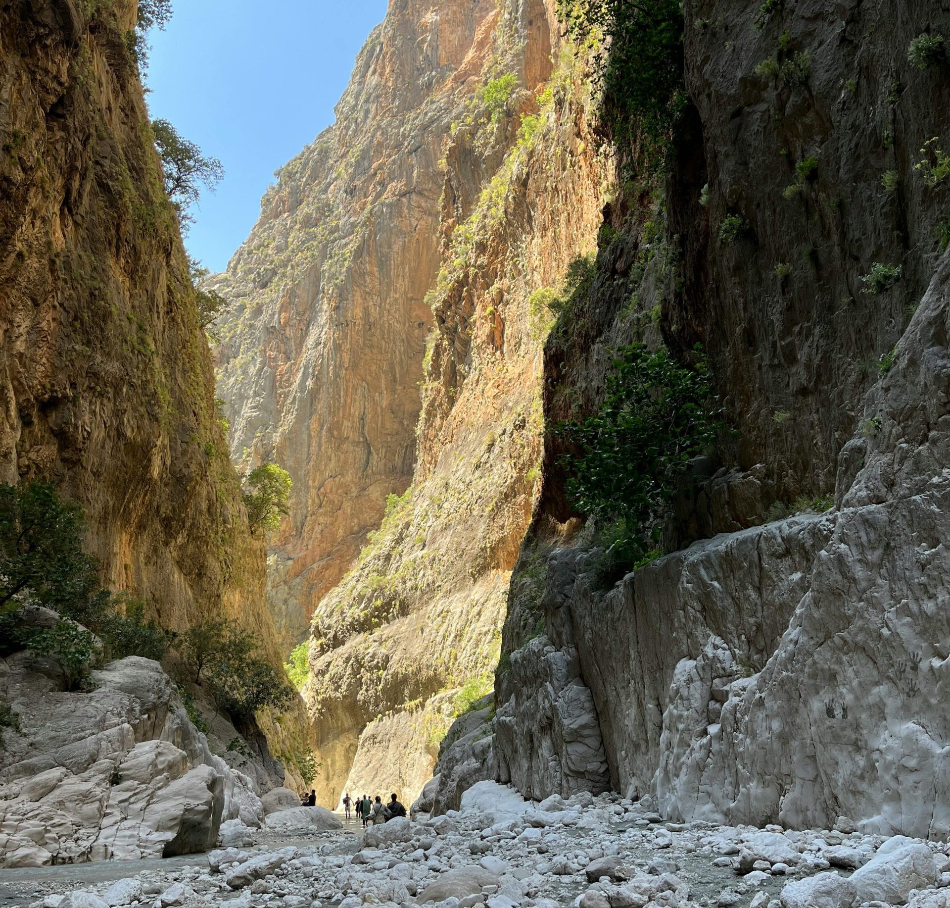 Samaria Gorge Tour