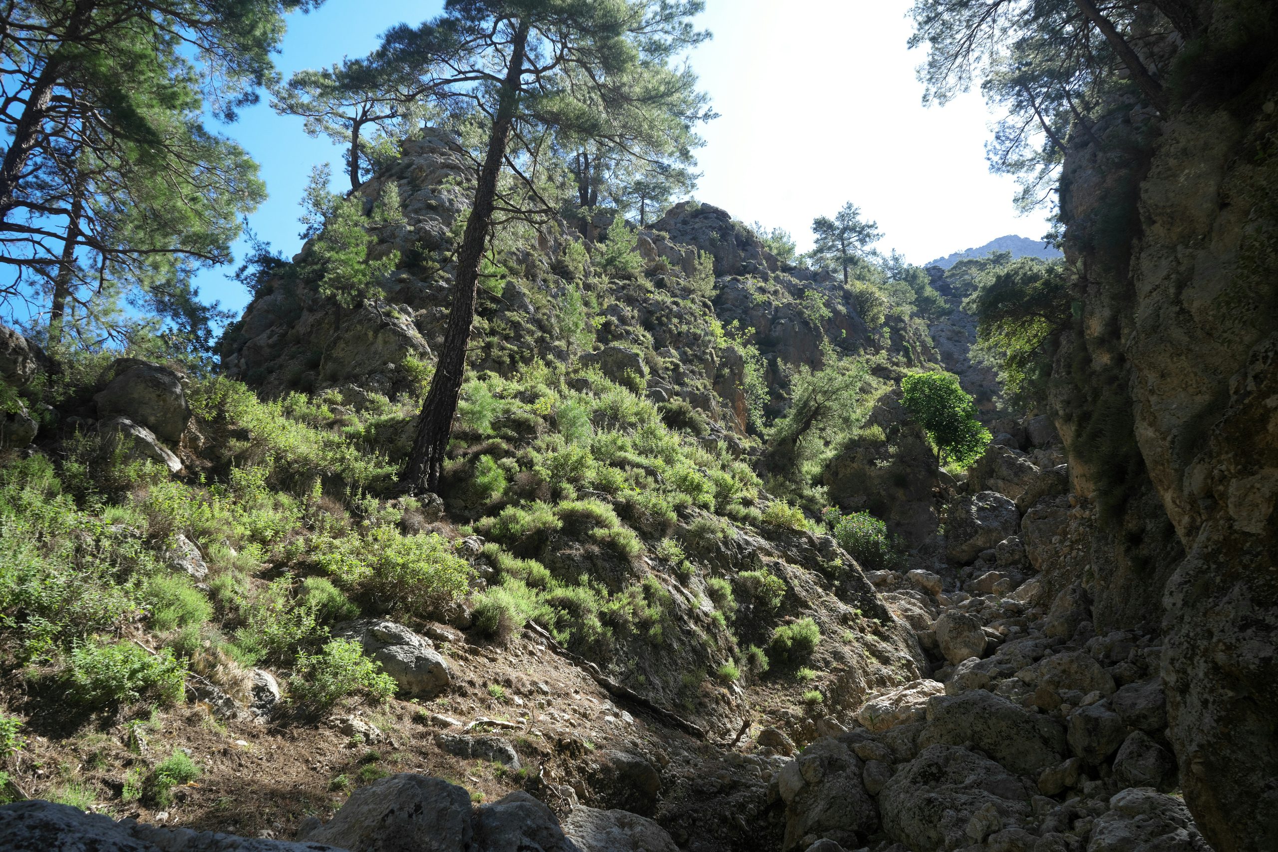 Agia Irini Gorge Tour – Mini Samaria Gorge Walk